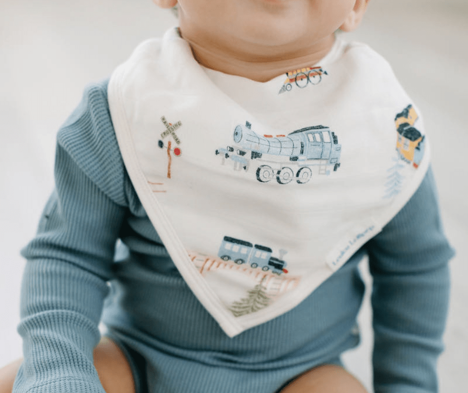 Exploring the Best Baby Bibs in Canada: A Guide for Parents in Prince George, BC - Nest and Sprout