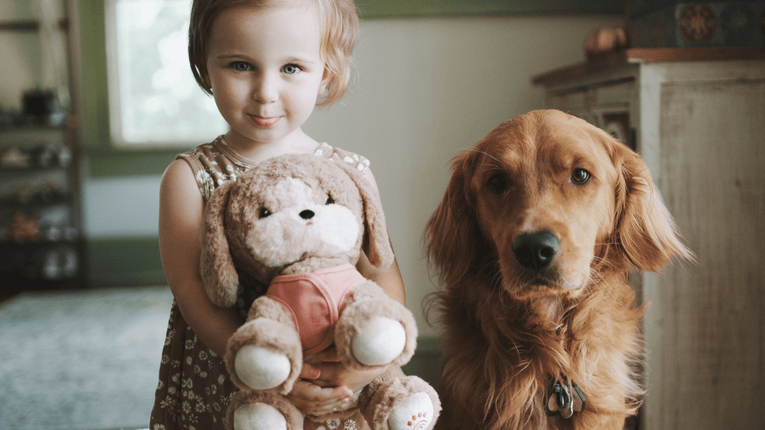 Gift Guide: Christmas Gifts for a 3-5 Year Old 2022 - Nest and Sprout