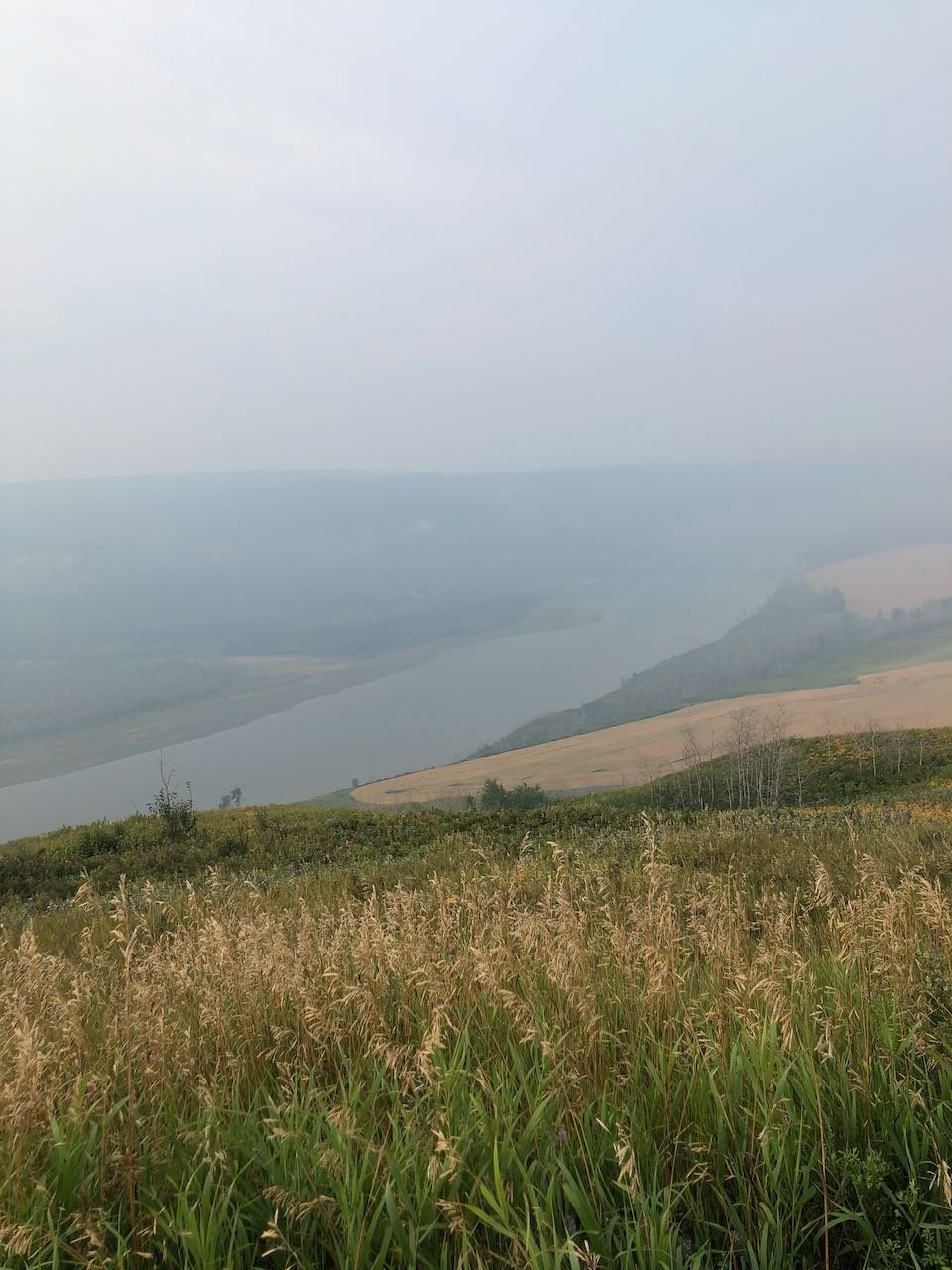 A Day in Hudson's Hope with Kids | Northern BC Family Travel - Nest and Sprout