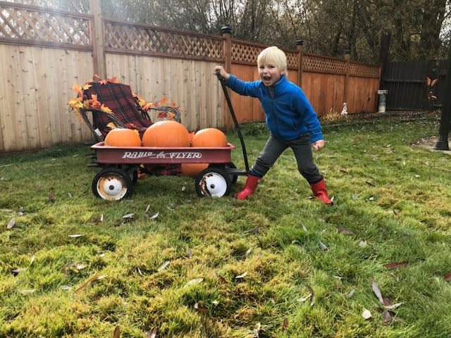 Pumpkin Patch Adventures in Prince George: Where to Find Fall Fun - Nest and Sprout