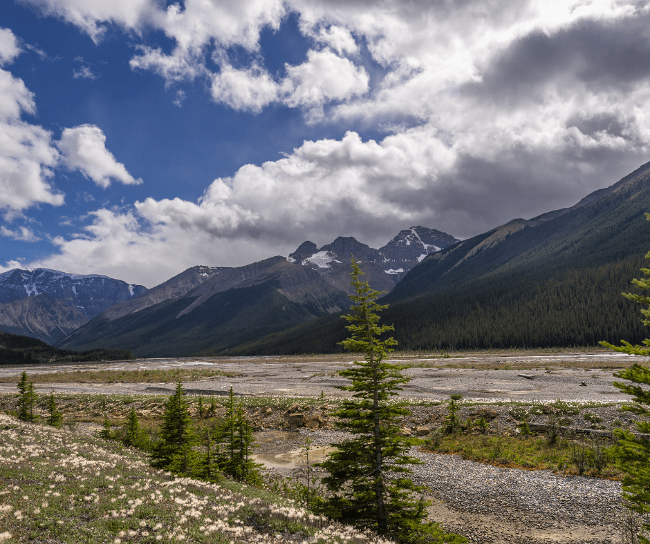 Discover Family-Friendly Activities for the May Long Weekend in Northern BC - Nest and Sprout
