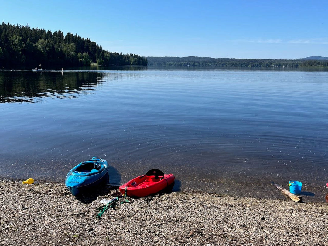 Discover Family-Friendly Lakes with Public Access Beaches in Prince George, BC - Nest and Sprout