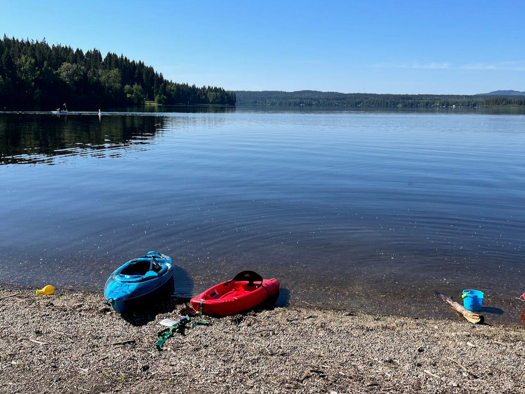 Discover Family-Friendly Lakes with Public Access Beaches in Prince George, BC