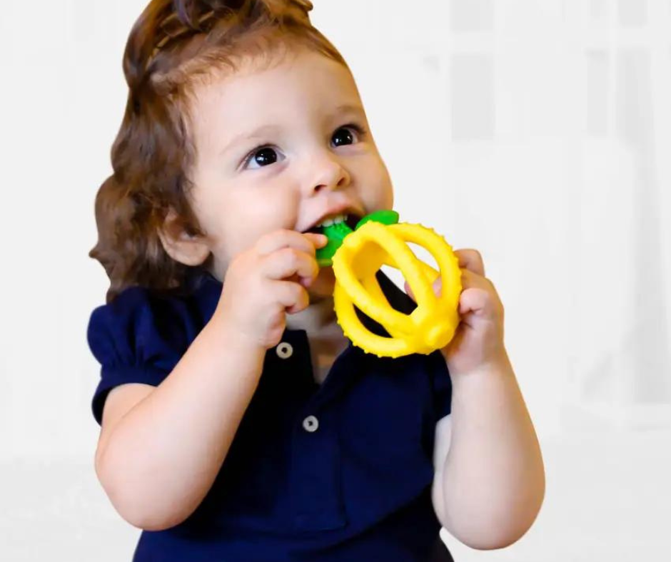 Shop the Best Teething toys in Canada | Nest & Sprout