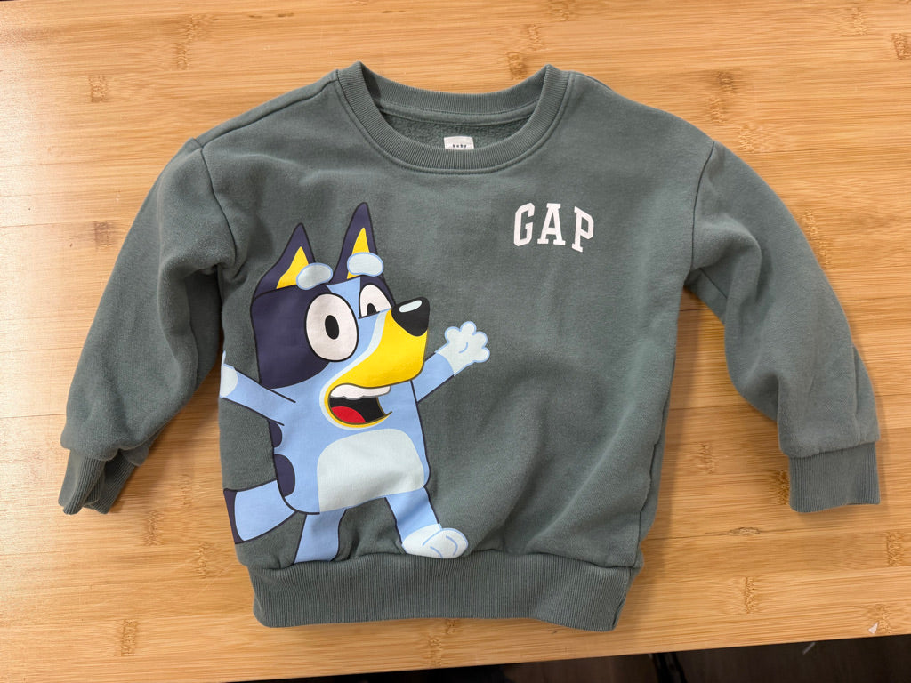 Baby Gap Sweatshirt – 3 | Green and Blue
