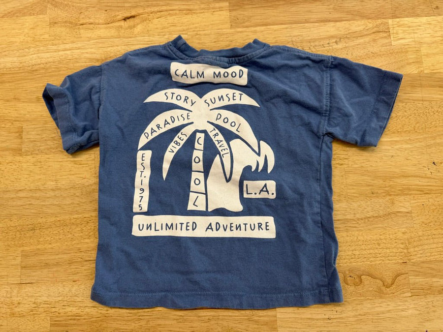 Zara Shirt – 3 | Sun Palm Bay Unlimited Adventure - Nest and Sprout - Consignment
