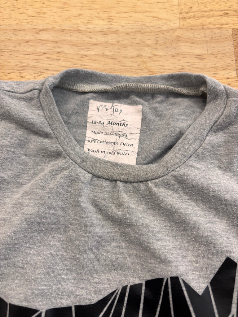 Vi & Jax 12–24M Handmade Dress – T-Rex Print