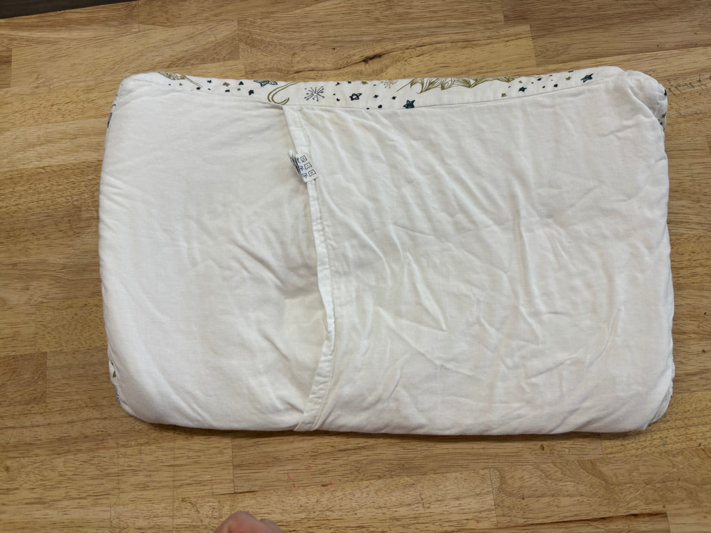 Nest Designs Toddler Pillow with Mountain Pillowcase