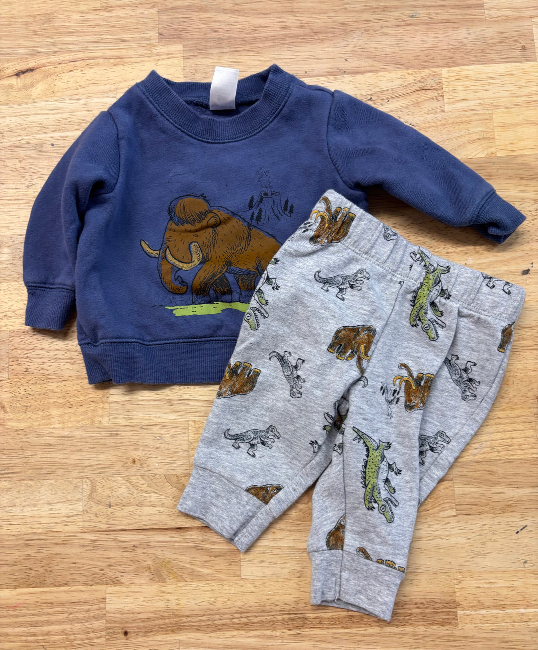 Carters Blue Mammoth Sweatshirt & Grey Pants Set 3M