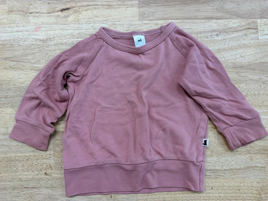 Little & Lively Dusty Pink Long Sleeve Shirt – 6–12M | Play - Nest and Sprout-Consignment