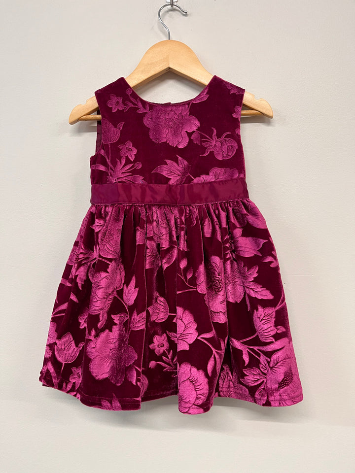 George Velvet Special Occasion Dress – Rose Print (2T)