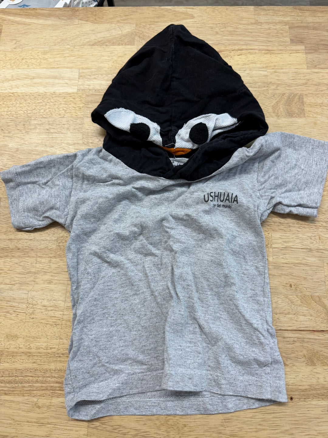 Ushuaia Shirt – 4 | Grey | Bird Themed Hat