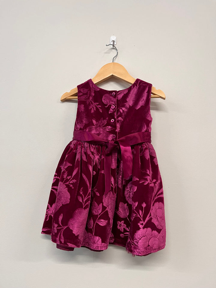 George Velvet Special Occasion Dress – Rose Print (2T)