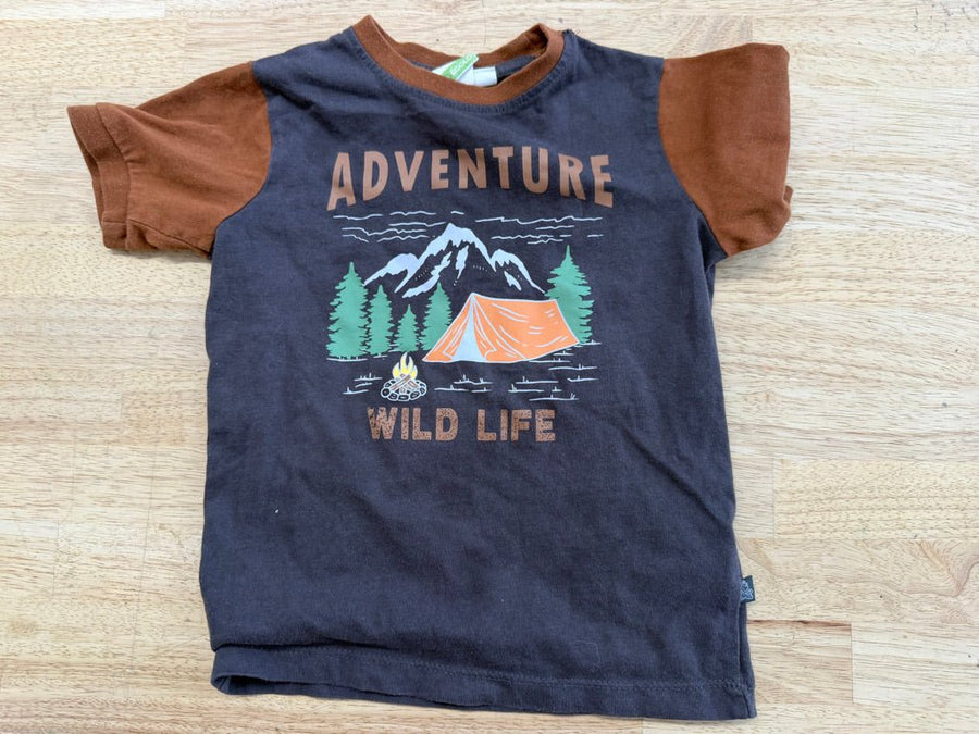Z/C – 2T | Charcoal & Brown | Adventure Graphic - Nest and Sprout - Consignment