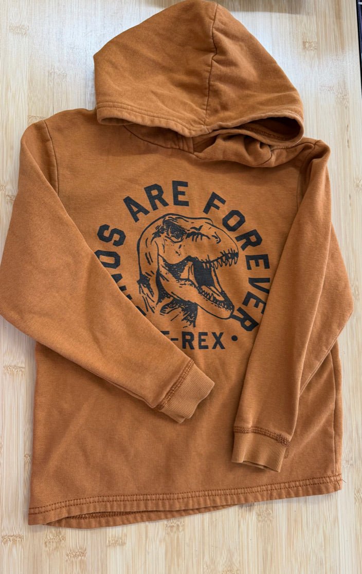 H&M Dinosaur Hooded Long Sleeve Shirt – 8–10Y - Nest and Sprout-Consignment