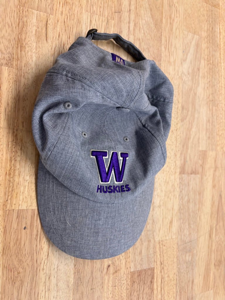 Captivating Headwear Ball Cap – Youth Small - Nest and Sprout - Consignment