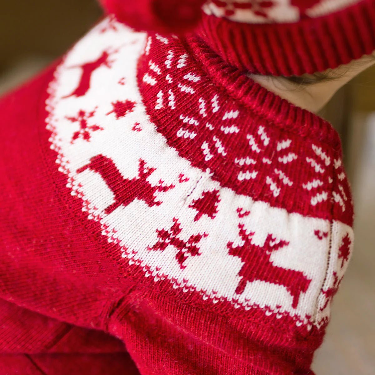 Baby Jumper with Jacquard Patterns | Red - Nest and Sprout - Souris Mini