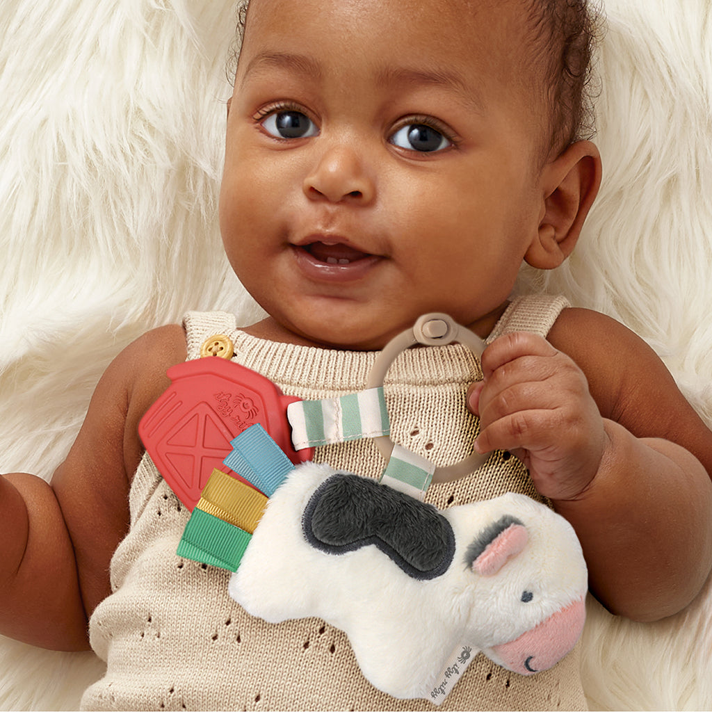 Itzy Pal™ Infant Toy | Teether & Lovey