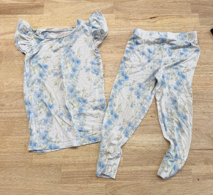 Bums and Roses Two-Piece PJ Set – 2T | Cream and Blue Floral Watercolor Print
