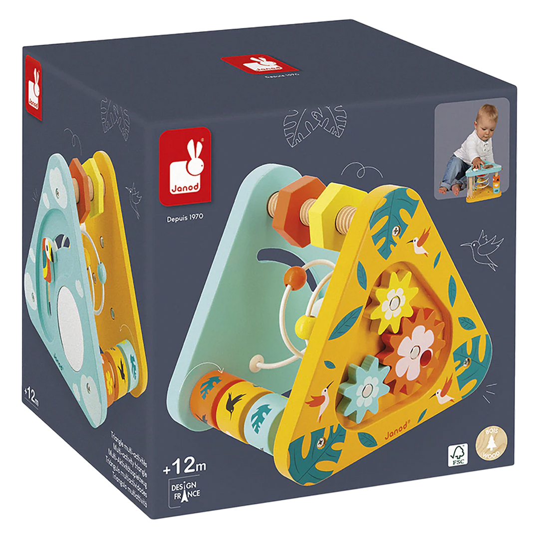 Janod Multi Activity Triangle