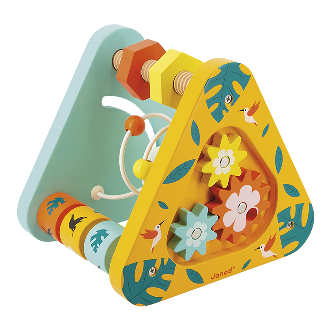 Janod Multi Activity Triangle