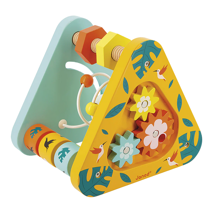 Janod Multi Activity Triangle