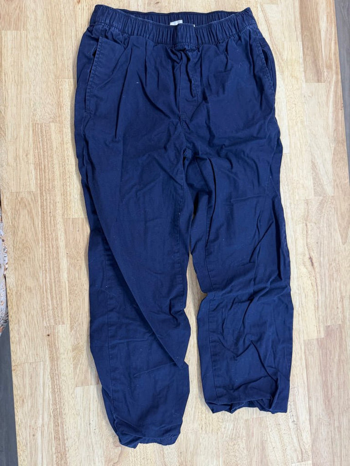 Gap Kids Lined Chinos – M | Blue - Nest and Sprout - Consignment