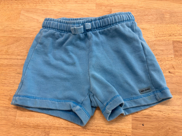 Zara 18-24M Distressed Blue Shorts