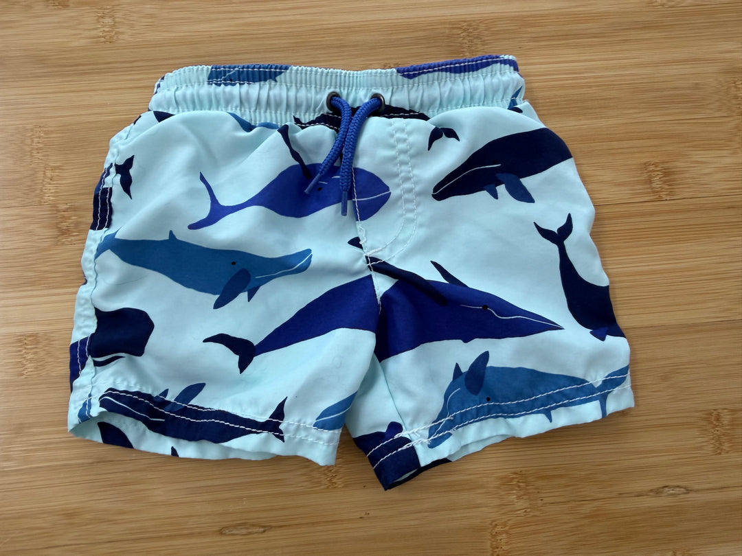Carter's Swim Shorts – 12M | Shark Print