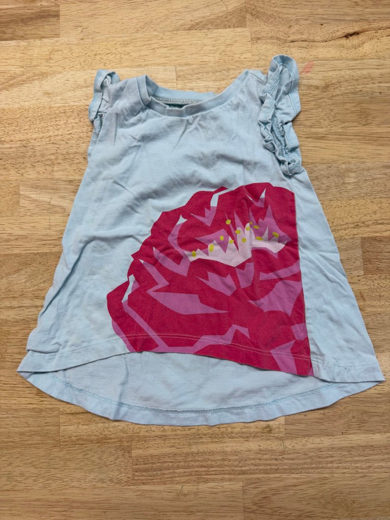 Tea Collection Light Blue Tunic Top Red Graphic – 2 | Play - Nest and Sprout-Consignment