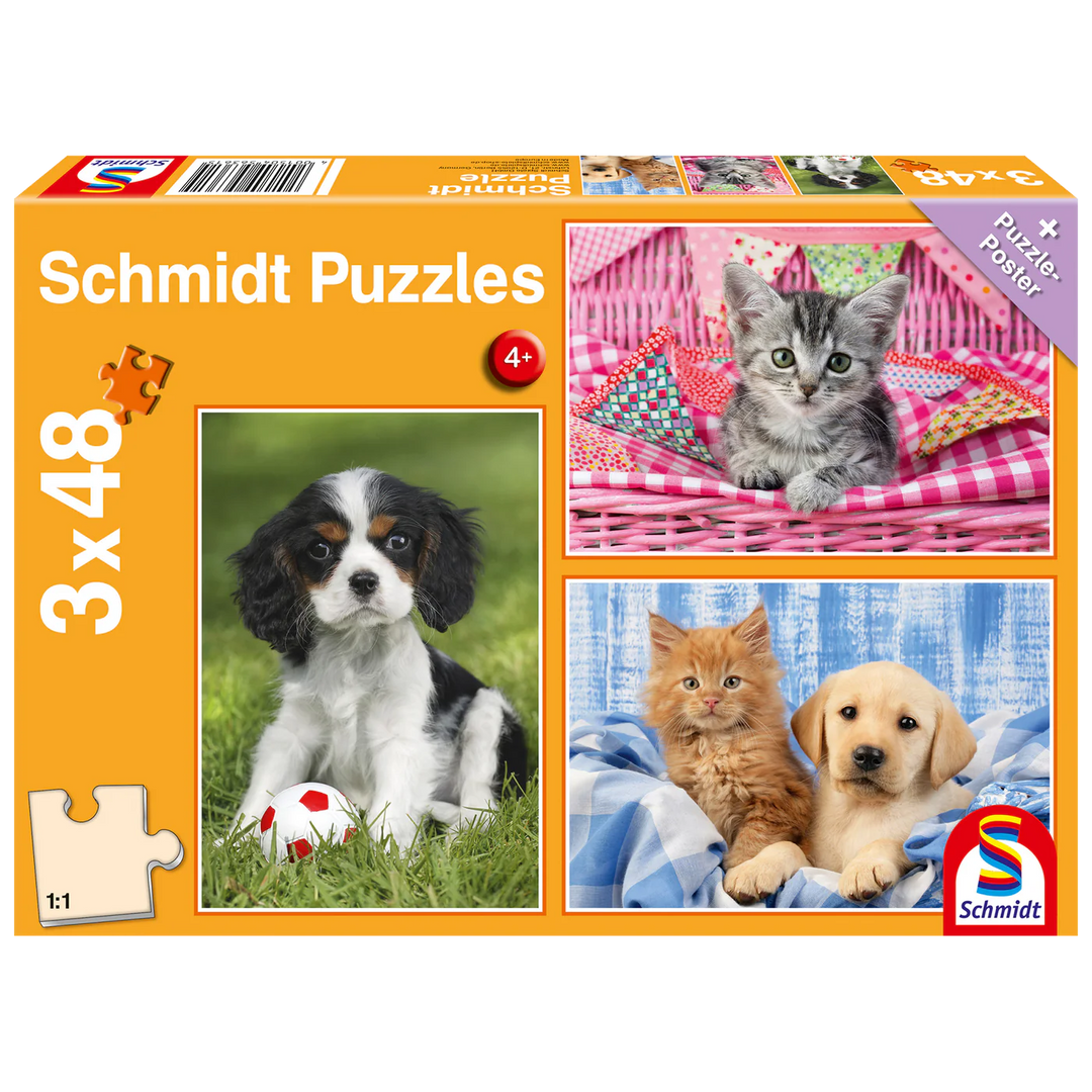 PZ 3x48: My favorite puppies and kitties