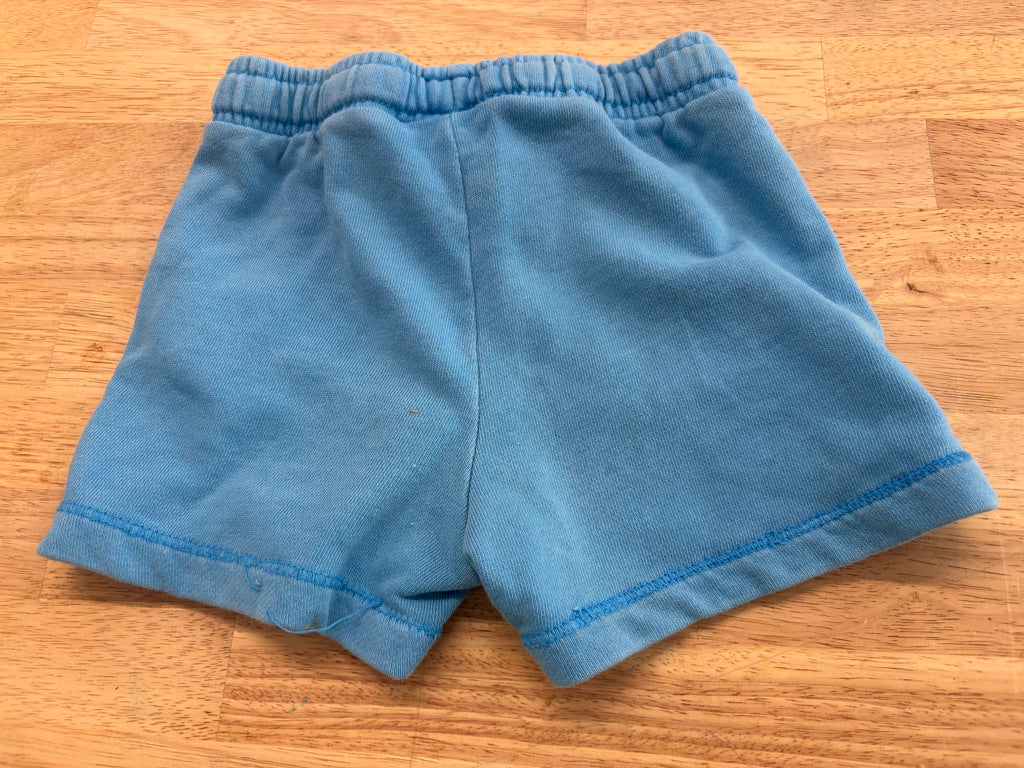 Zara 18-24M Distressed Blue Shorts