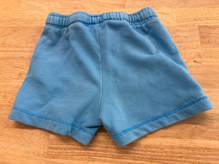 Zara 18-24M Distressed Blue Shorts