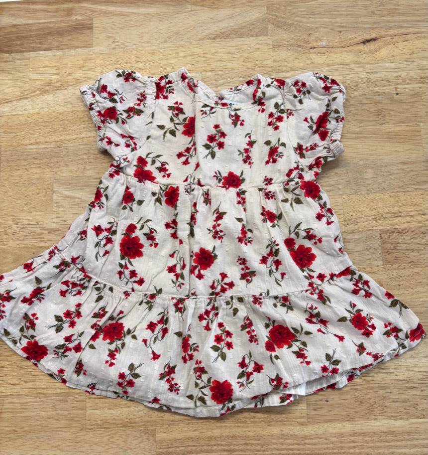 Old Navy 12-18M Dress – Cream with Rose Print