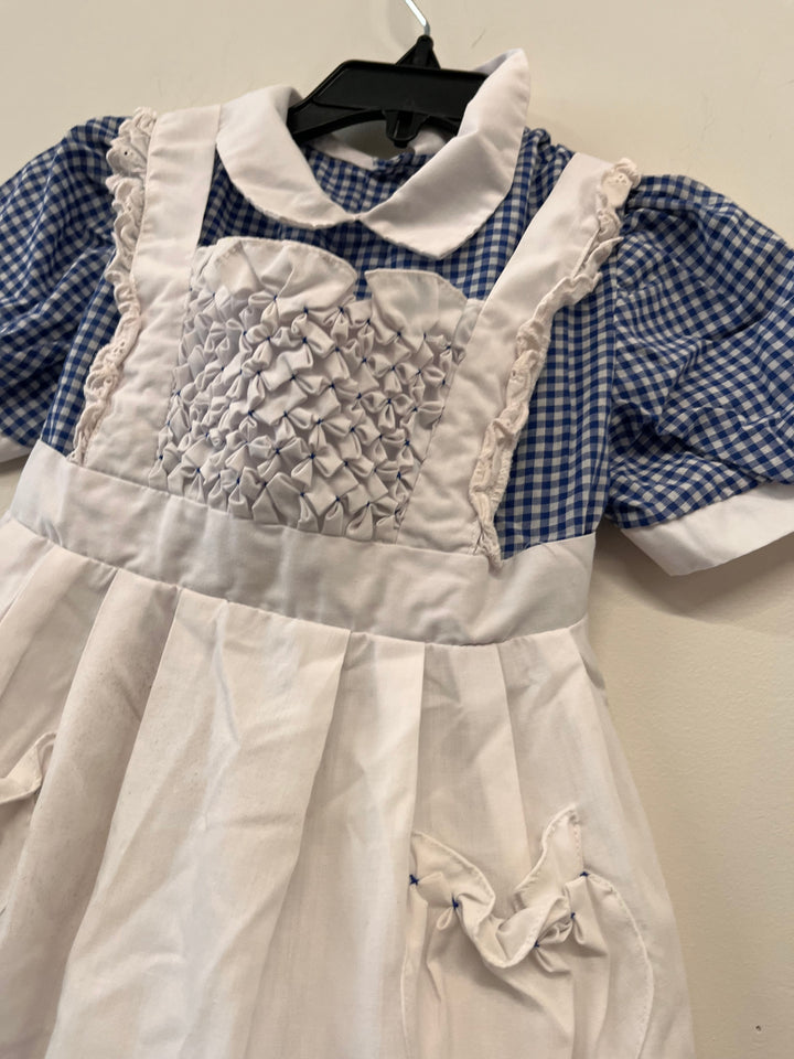 Jo + Joe Fashions Dress – Blue Gingham 4
