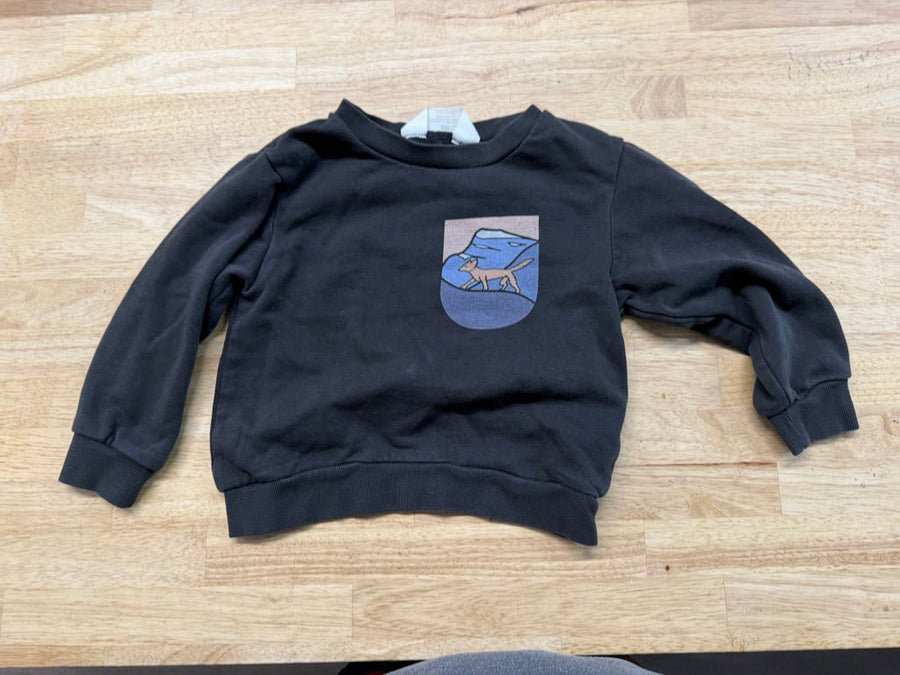 H&M Patch Graphic Sweatshirt – 2/4 | Charcoal Mountain - Nest and Sprout - Consignment
