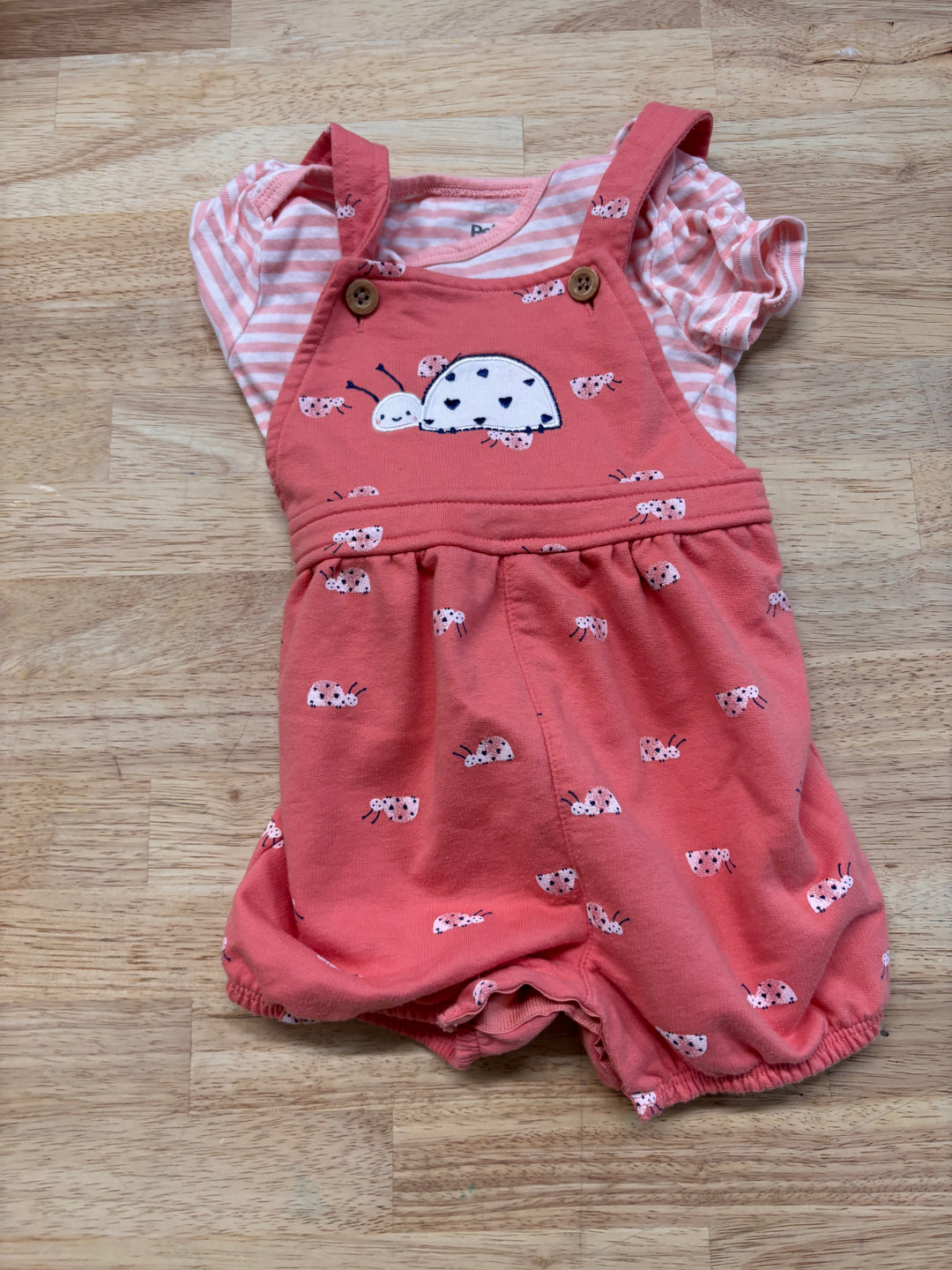 Pekkle Romper – 9M Ladybug & Stripe Set