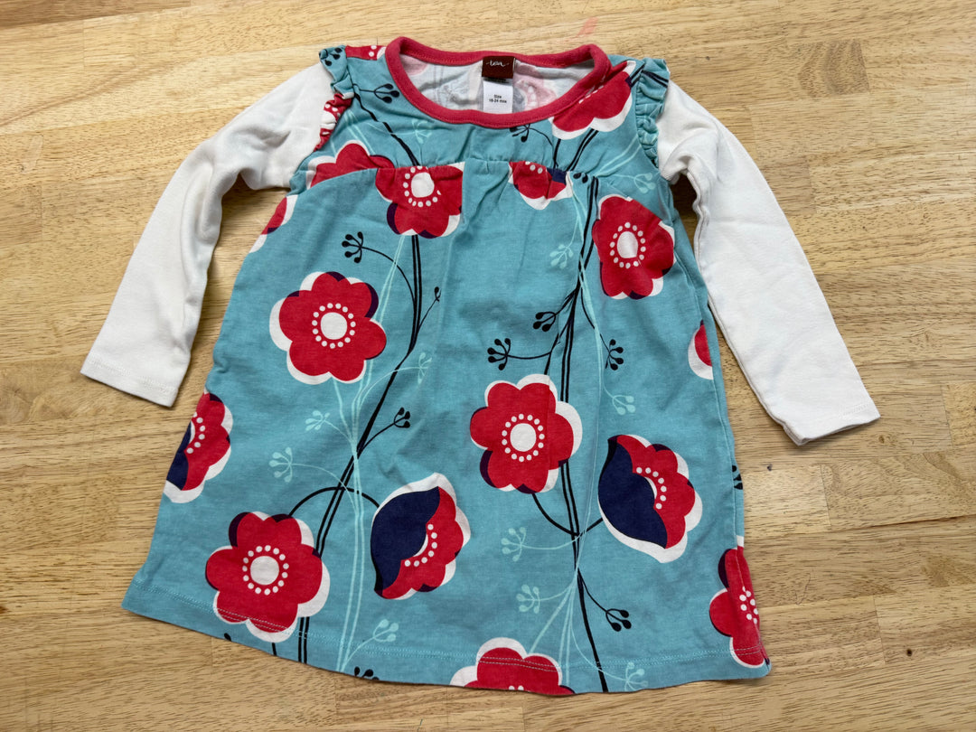 Tea Collection Blue Floral Long Sleeve White Sleeve Dress – 18–24M | Play