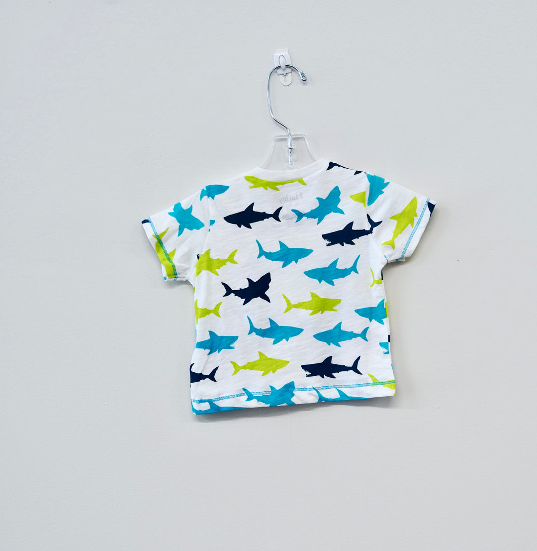 Hatley Shark Shirt, 6-9 Months