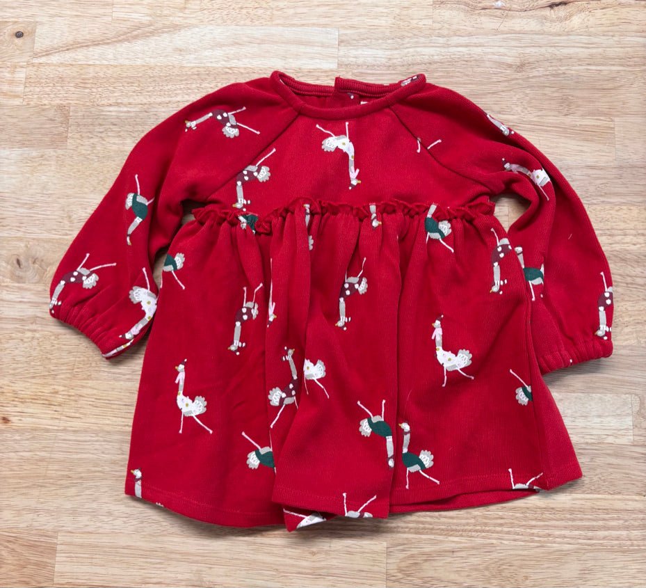 Rise Little Earthling 6-9M Dress - Christmas Ostriches - Nest and Sprout-Consignment