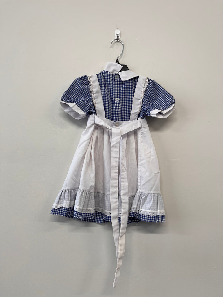 Jo + Joe Fashions Dress – Blue Gingham 4