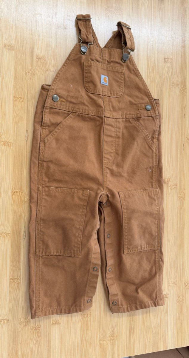 Carhartt Overalls – 24M - Nest and Sprout-Consignment