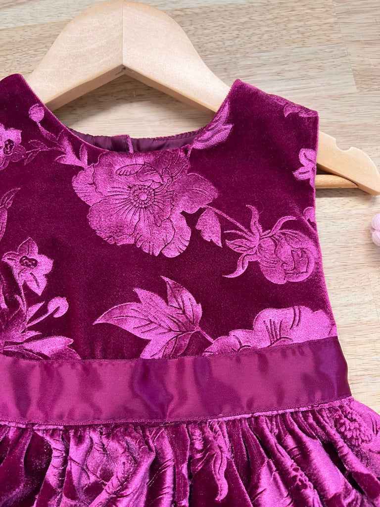 George Velvet Special Occasion Dress – Rose Print (2T)