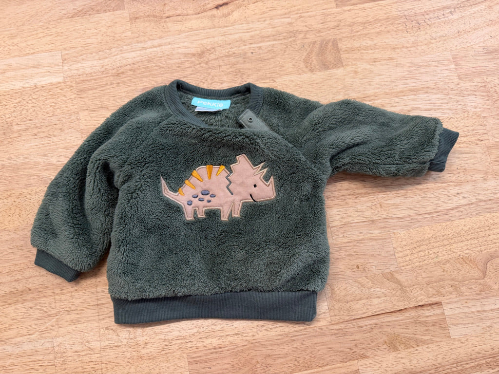 Pekkle Triceratops Fleece Sweatshirt – 3M