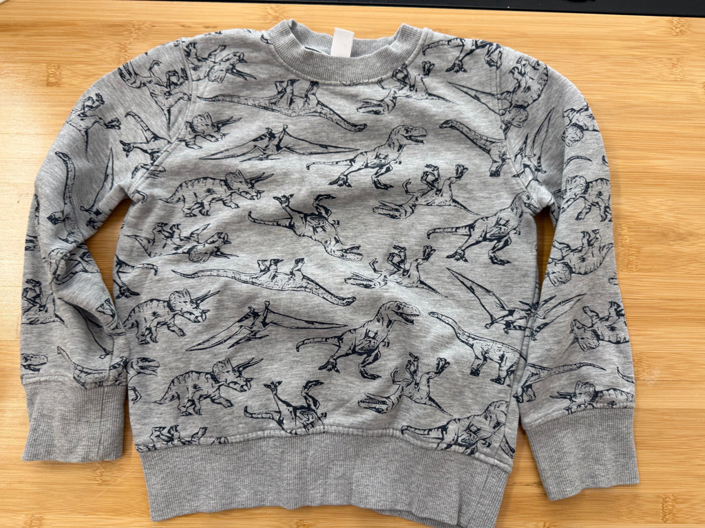 Joe Fresh Dinosaur Sweatshirt – 6 | Light Grey & Black