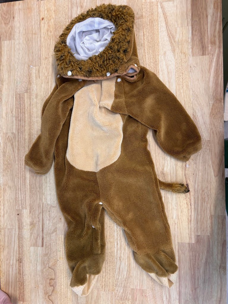 Little Lion Costume with Hood – Size 6M - Nest and Sprout - Consignment