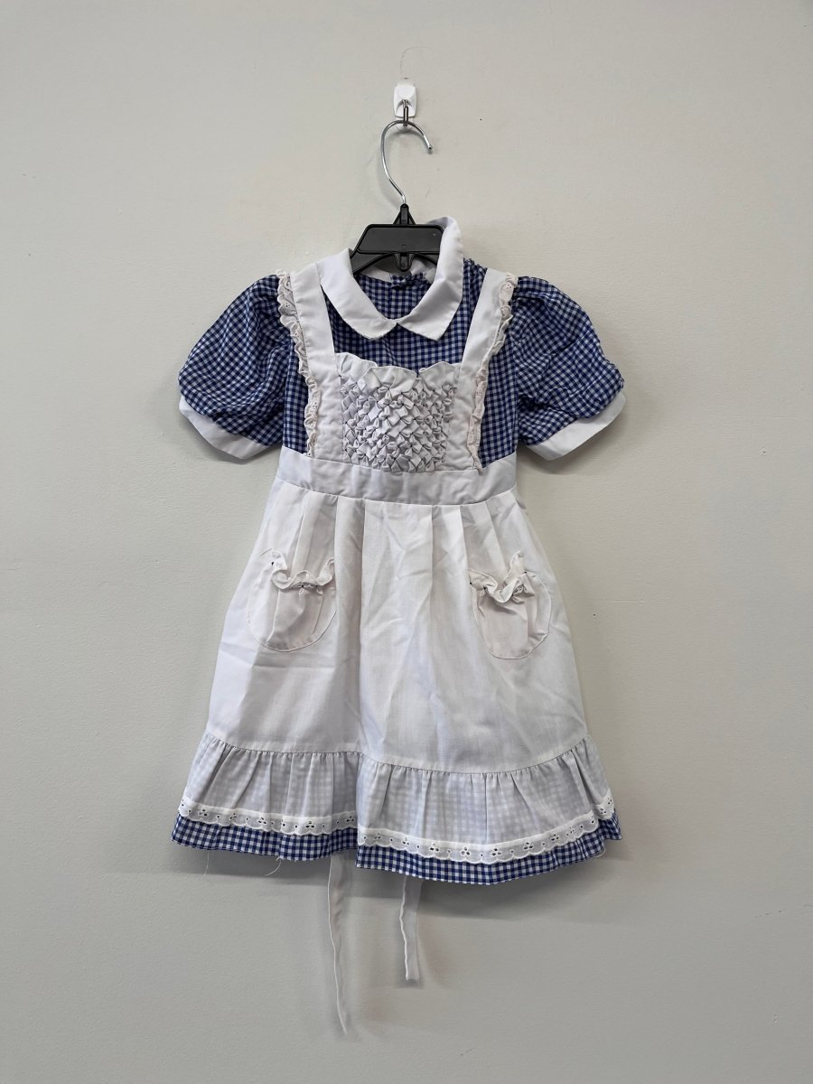 Jo + Joe Fashions Dress – Blue Gingham 4 - Nest and Sprout-Consignment