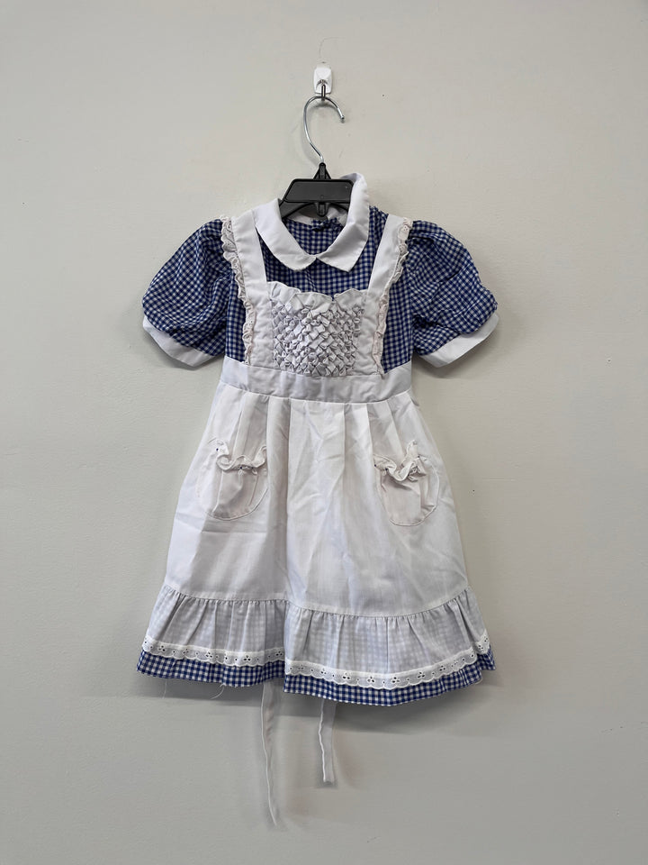 Jo + Joe Fashions Dress – Blue Gingham 4