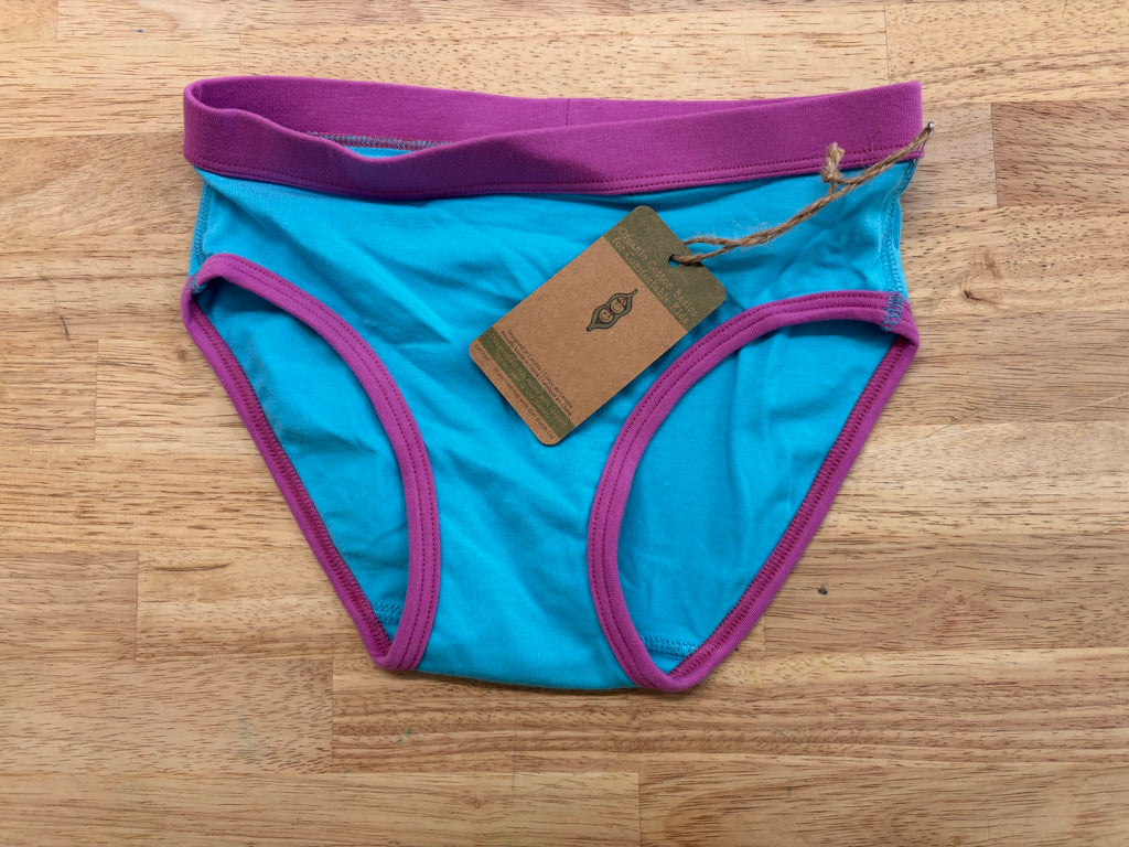Peekaboo Beans Underwear 6Y – Fuscia/Blue NWT