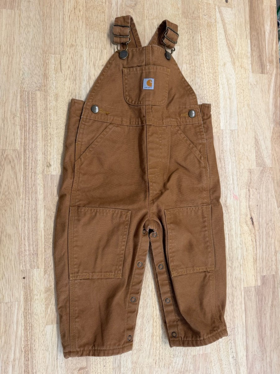 Carhartt Lined Overalls – 18M | Excellent - Nest and Sprout-Consignment